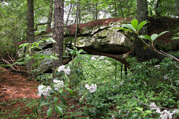 Ledford Twin Arch East