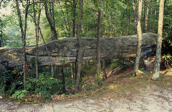 Log Rock