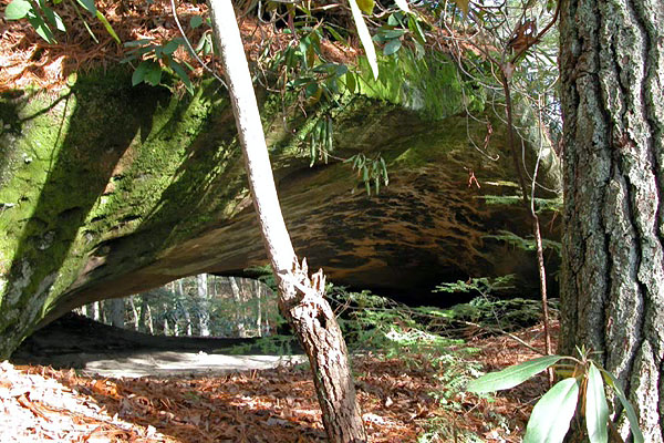 Mule Head Arch