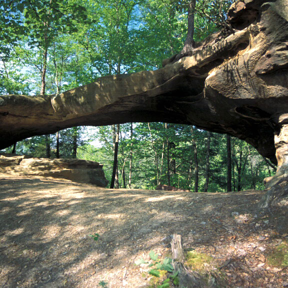 Princess Arch