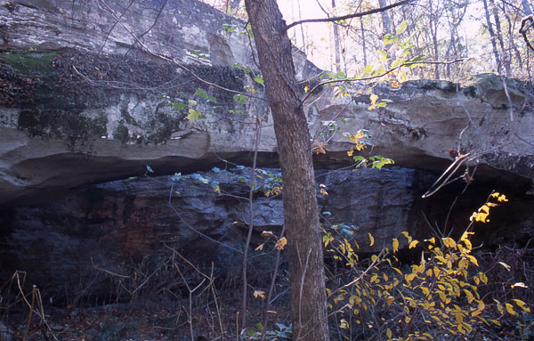 Rainbow Rock
