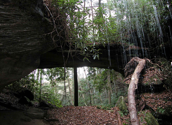 Red Byrd Arch