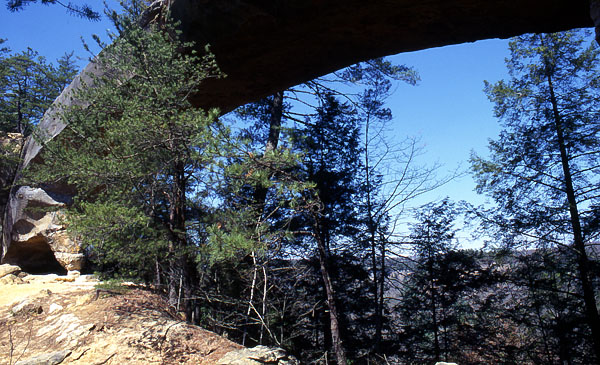 Sky Bridge