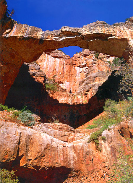 Kolb Arch