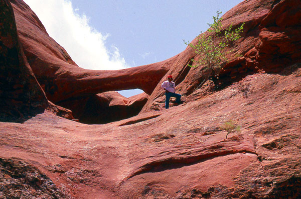 Hoola Hey Arch