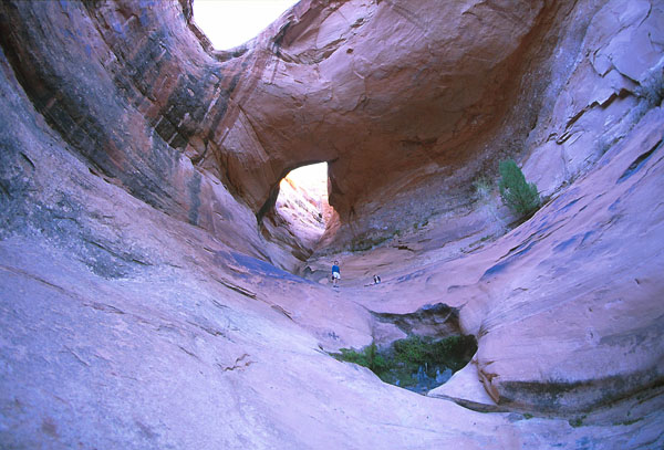 Fernholes Natural Bridge