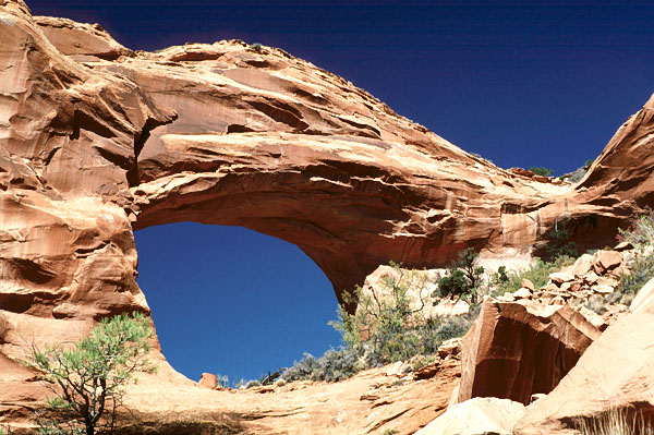 Blackhorse Arch