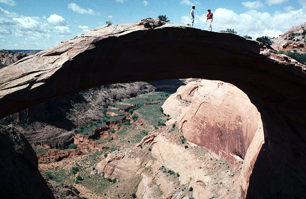 Eggshell Arch