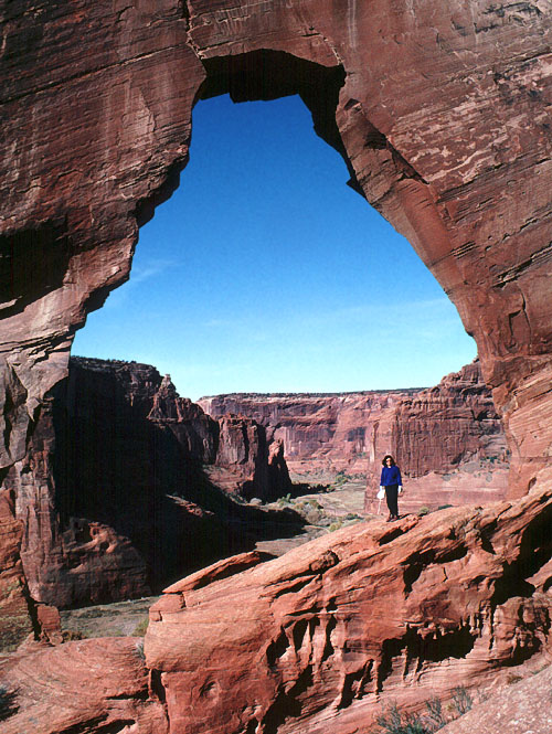 The Window
