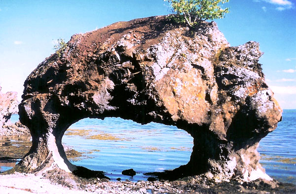Arch Rock
