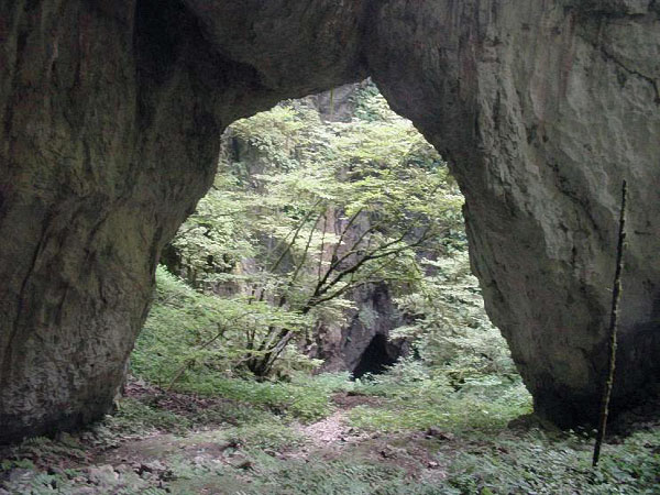 Rashomon Gate 2