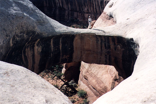 V4-35