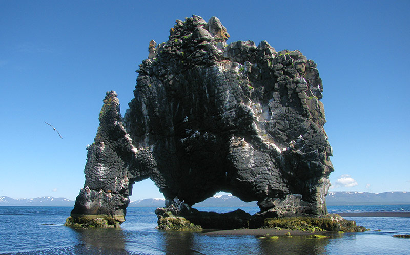 Hvitserkur
