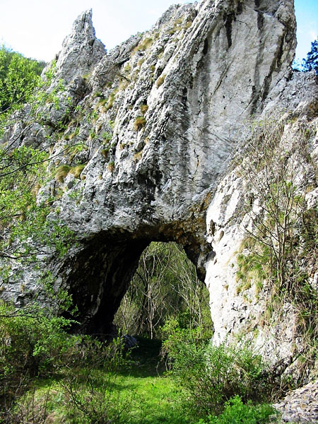 E761 Arch