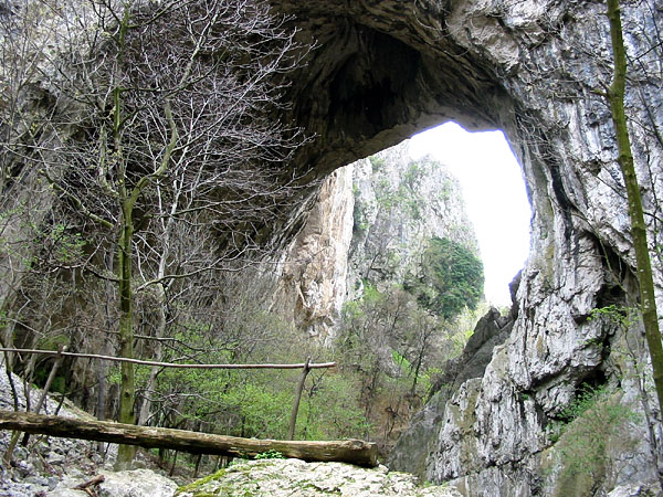Velika Prerast
