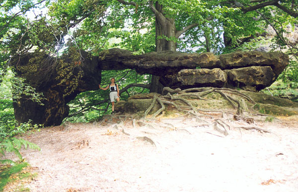 arch in Sächsische Schweiz
