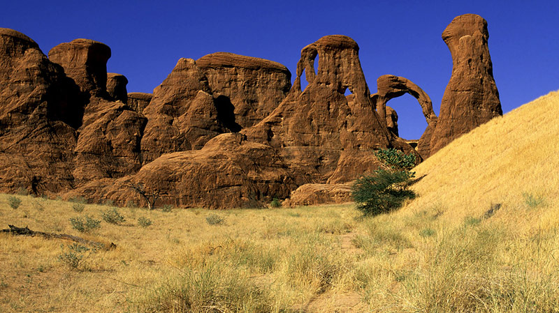 Dentelles Arches