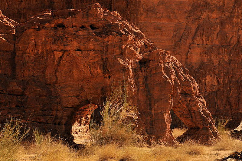 Ennedi