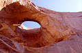 Pine Tree Arch