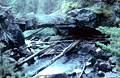 natural bridge