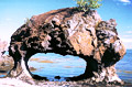 Arch Rock