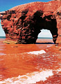 Seal Point Arch