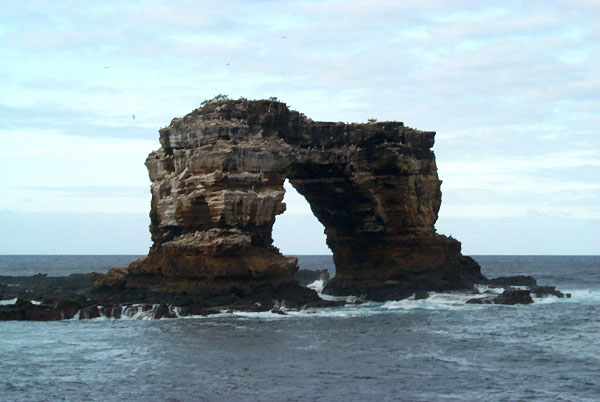 Darwin's Arch