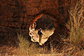 Ennedi
