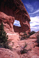 Far Out Arch