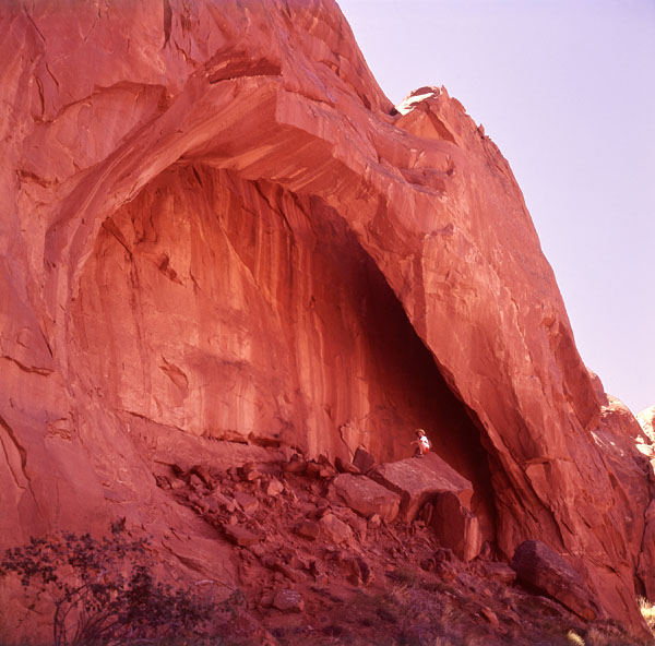 Carrot Top Arch by Stan Jones