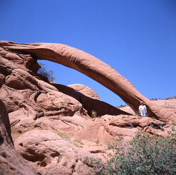 Cobra Arch by Stan Jones