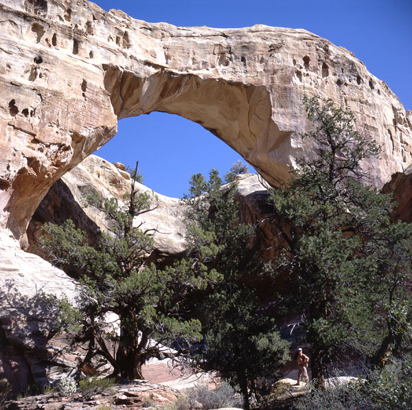 Sam Pollock Arch by Stan Jones