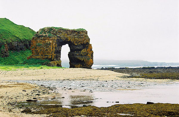 Steller's Arch