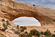 Wilson Arch