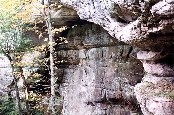 Cracked Bluffs Arch, TN