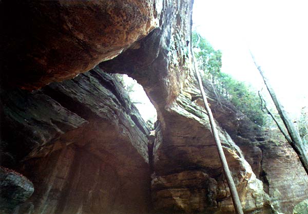 Fern Bridge, KY