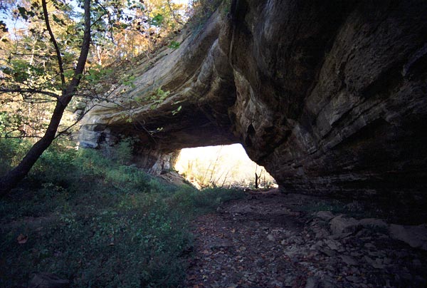 Creelsboro Natural Bridge