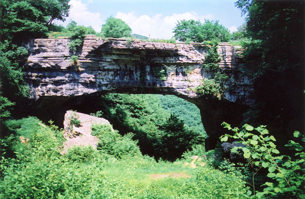 Ponte di Veja