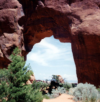 NABS Stereo Gallery - Pine Tree Arch